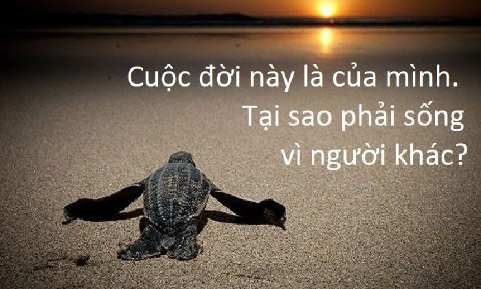 Câu nói ý nghĩa về cuộc sống