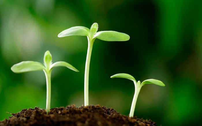 Câu nói ý nghĩa về cuộc sống