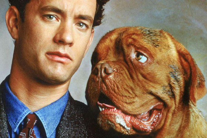 Turner & Hooch (1989)
