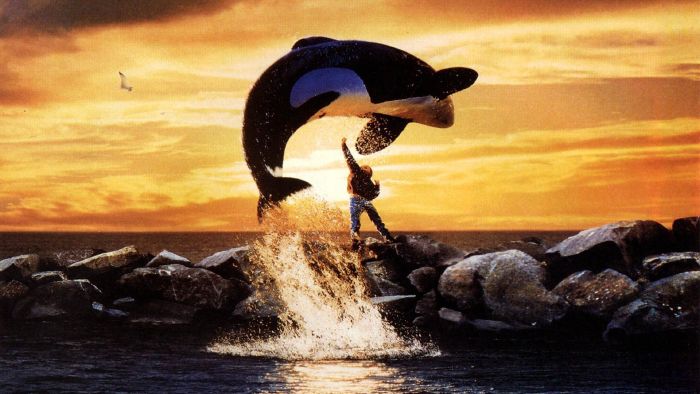 Free Willy (1993)