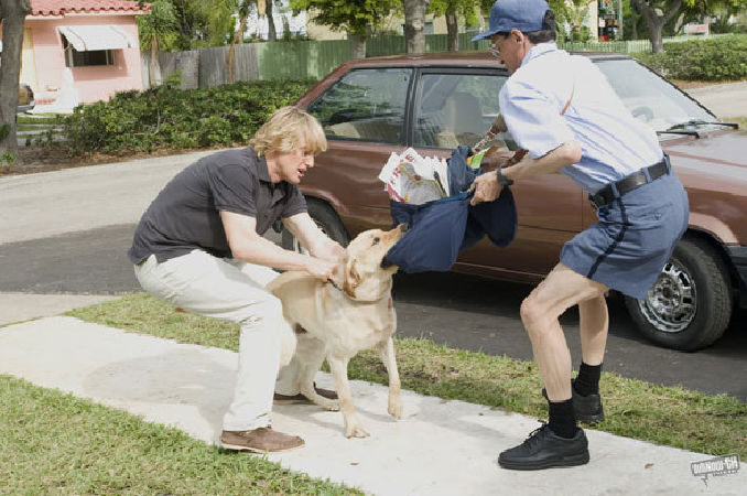 Marley & Me (2008)