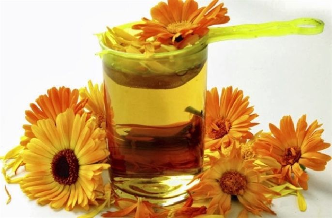 Dầu hoa cúc