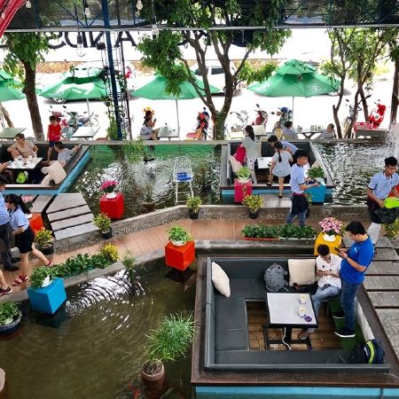 Koi Lands Coffee – Cafe dưới hồ cá
