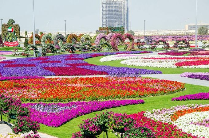 Vườn hoa Dubai Miracle Garden, Các tiểu vương quốc Ả-rập thống nhất