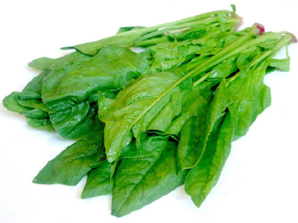 Rau bó xôi