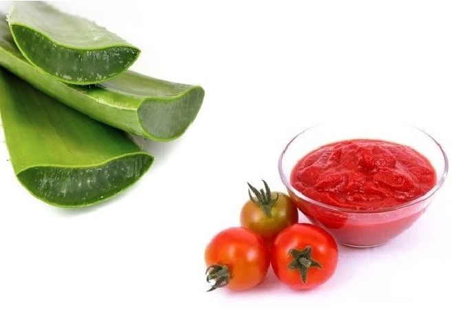 Dưỡng ẩm cho da khô với cà chua và nha đam