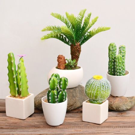 Đa dạng chủng loại
