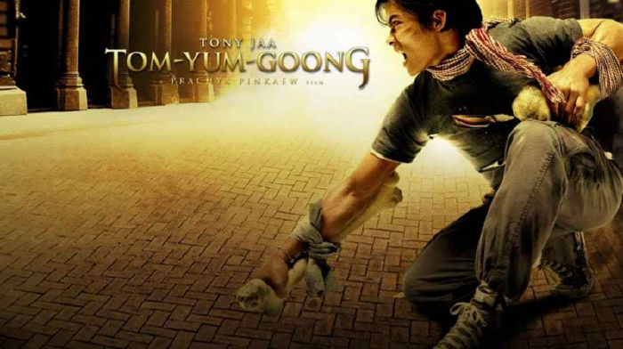 Phim Người Bảo vệ (2005)