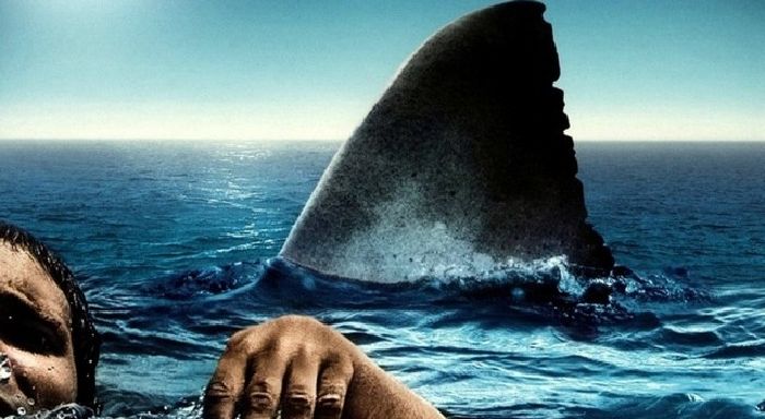 The Reef – Rặng đá ngầm