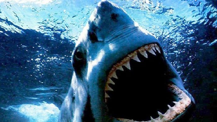 Shark Night – Đầm cá mập