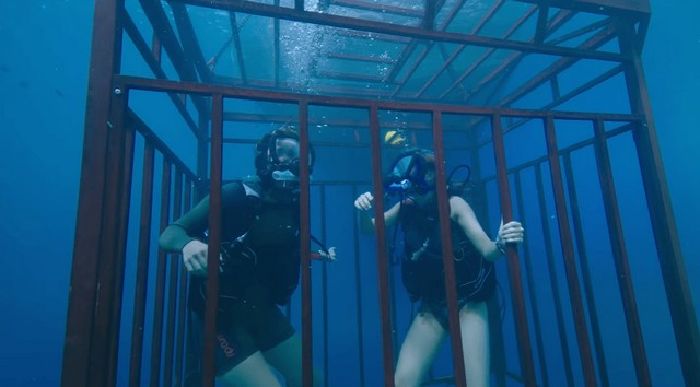 47 Meters Down – Hung thần đại dương