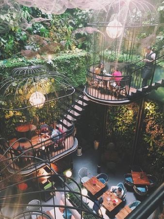 Terrace Cafe