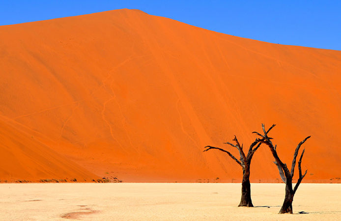 9 - Deadvlei, Namibia