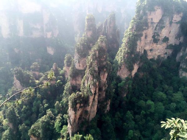 8 - Rừng nguyên sinh trong công viên Trương Gia Giới, Trung Quốc