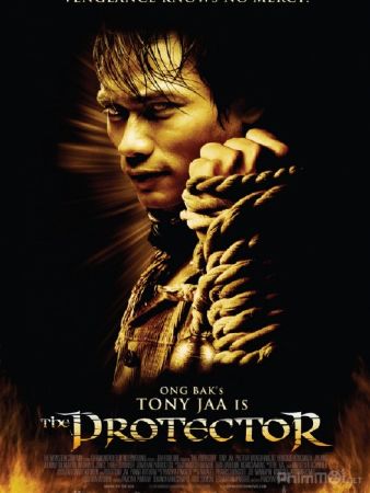 Người bảo vệ - The Protector