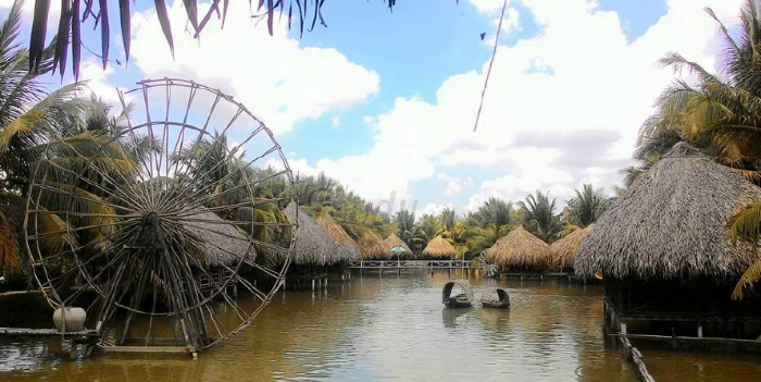 Vườn sinh thái hoa súng
