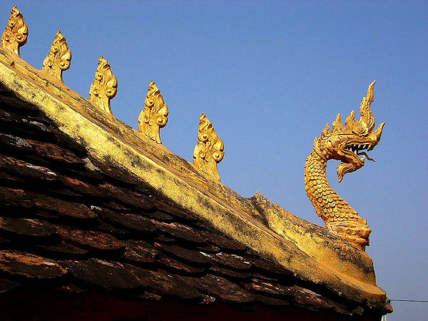 Vua rắn Naga