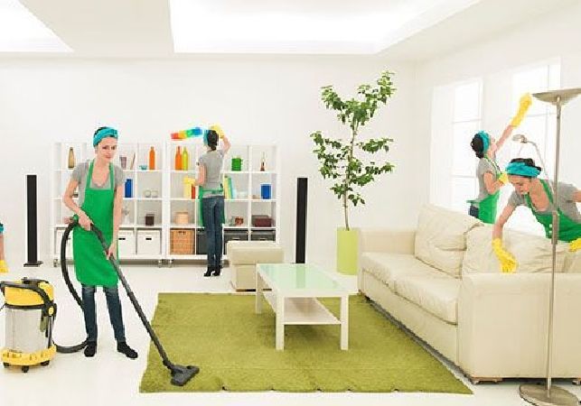 Công ty TNHH Vệ Sinh Cây Xanh Miền Nam