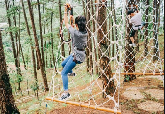 Khu trò chơi mạo hiểm High Rope Course