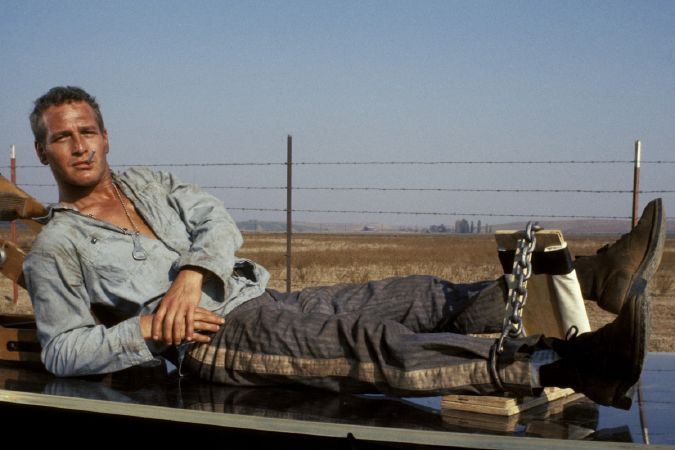 Phim Cool Hand Luke