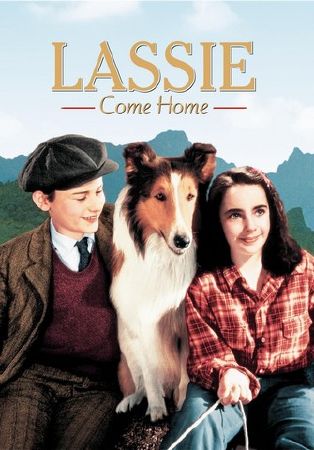 Lassie Come Home – Lassie về nhà (1943)