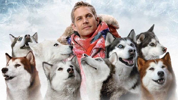 Eight Below – Những chú chó dũng cảm (2006)