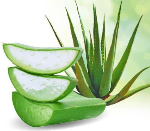 Tăng cường chức năng của gan