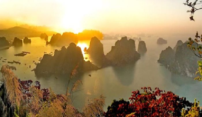 Vịnh Hạ Long
