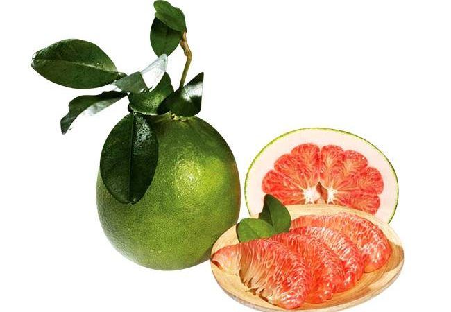 Quả Bưởi
