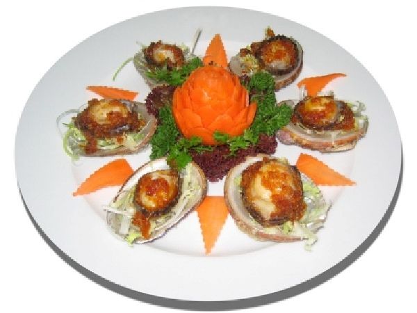 Bào ngư Bạch Long Vỹ (Hải Phòng)