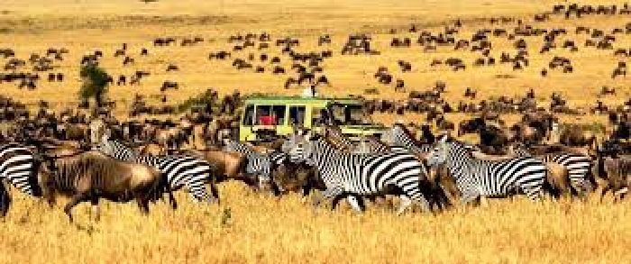 Vườn quốc gia Serengeti