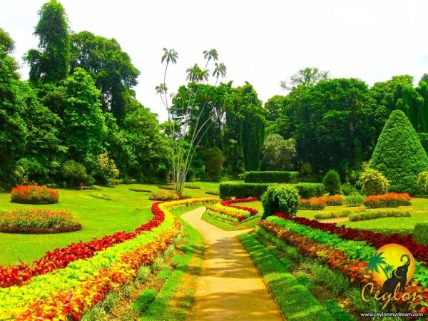 Vườn Bách thảo Hoàng gia