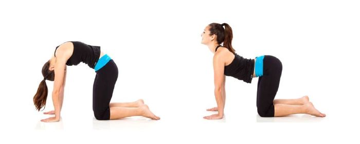 Exercise Those Abs (Tập thể dục)