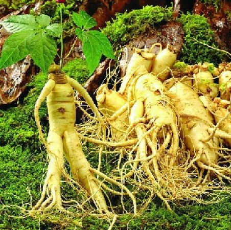 Điều trị bệnh ung thư