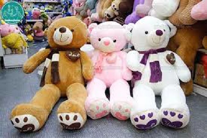 Shop Gấu bông Gia Bảo