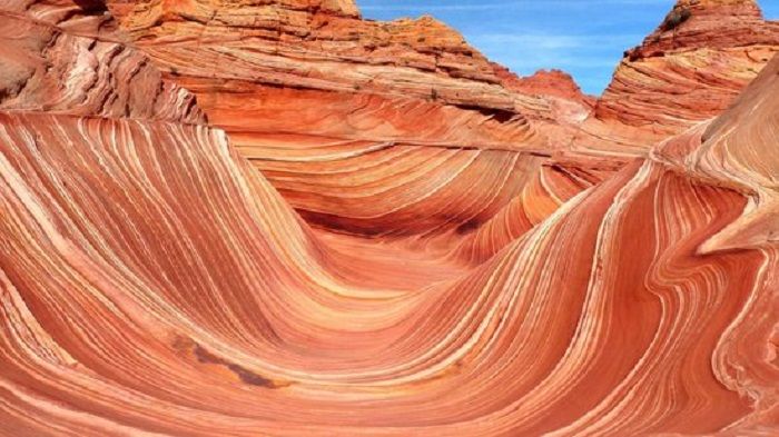 The Wave ở Mỹ