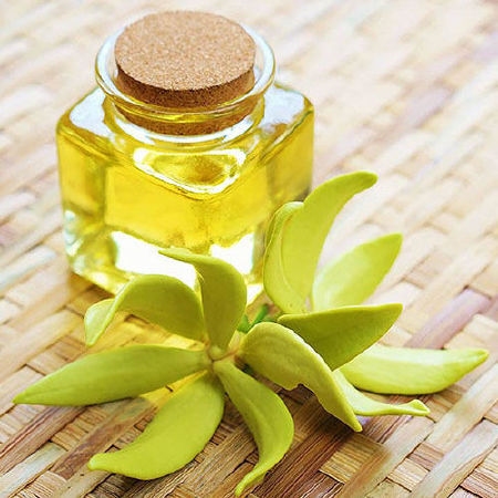 Tinh dầu ngọc lan tây