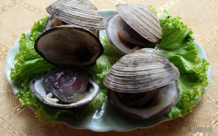 ngán biển
