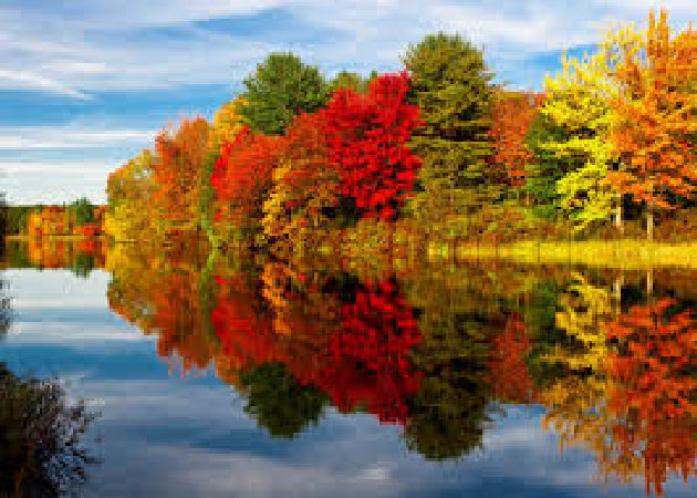 New Hampshire
