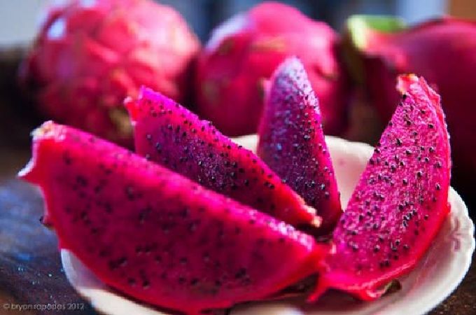 Thực phẩm bổ dưỡng cho cơ thể