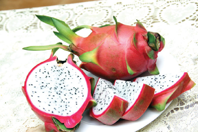 Thực phẩm bổ dưỡng cho đường tiêu hóa
