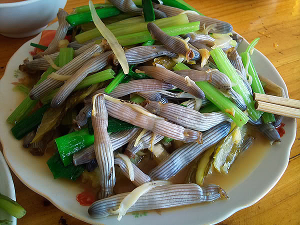Sá sùng