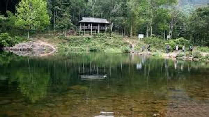 Rừng nguyên sinh Khe Rỗ