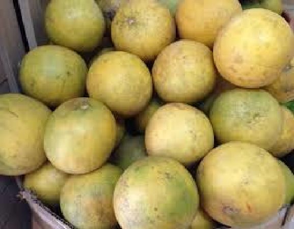 Bưởi Đoan Hùng