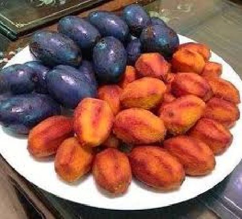 Cọ ỏm