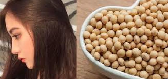 Cho mái tóc tóc chắc khỏe bóng mượt