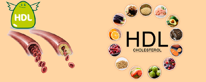 Tăng cholesterol HDL