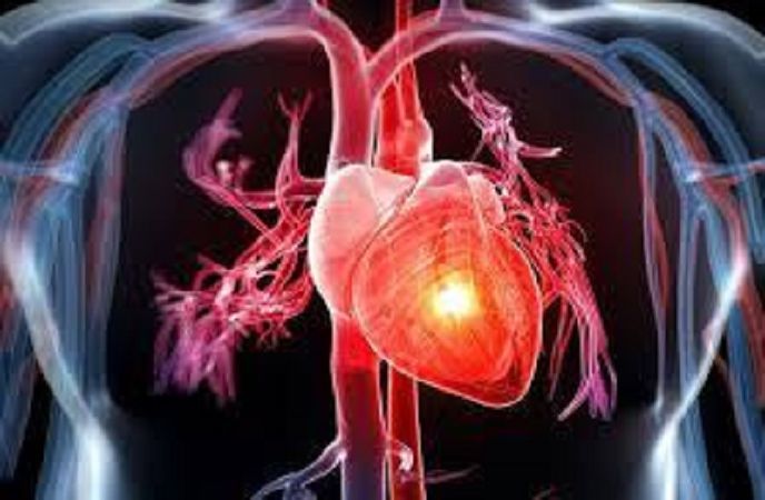 Tăng cường sức khỏe tim mạch