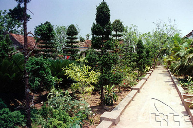 Làng vườn Bách Thuận