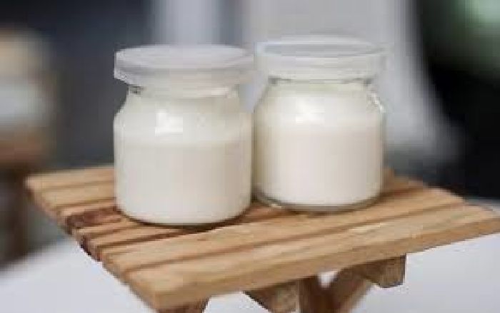 Là thực phẩm giàu protein